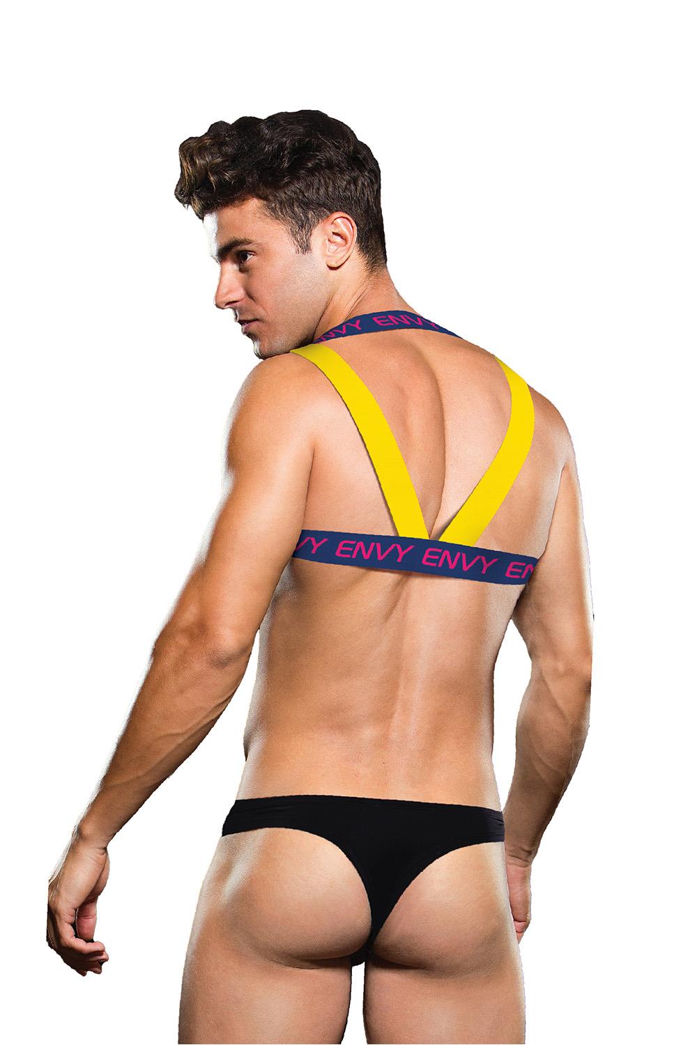 ENVY LOGO HARNESS BLUE YELLOW