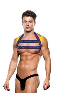 Envy Logo Harness Blue Yellow